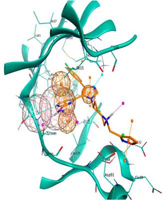 Implementing a Scoring Function Based on Interaction Fingerprint for Autogrow4: Protein Kinase CK1δ as a Case Study